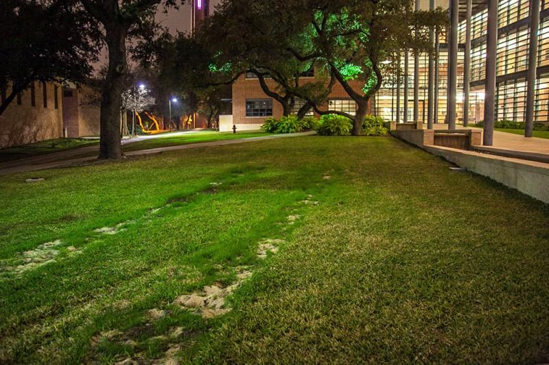 Tire ruts remain outside of Northrup after the San Antonio fire department conducted a fire equipment accessibility test, attempting to drive a fire truck near upper campus buildings during winter break. Photo by Anh-Viet Dinh.