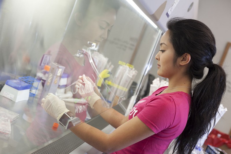 Junior Helene Nepomuceno is a research student in Jonathan Kings lab, whose work involves understanding the physiology of epithelial cell junctions. Photo by Anh-Viet Dinh.