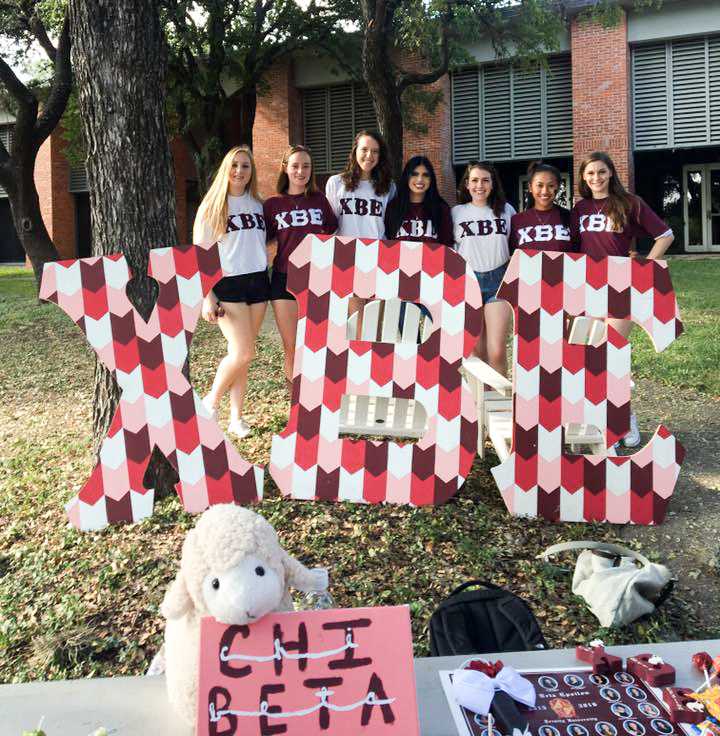 Cayley Mandadi, center, is surrounded by her Chi Beta Epsilon sisters during the 2017 Greek Kick-Off on the Coates Esplanade. file photo