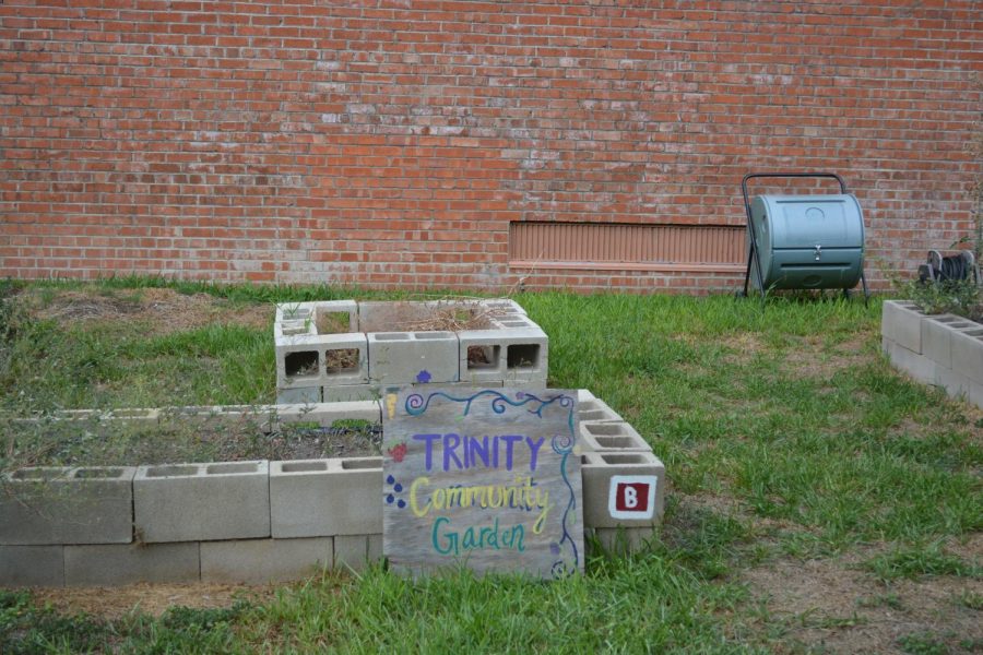 Photo of the Trinity Community Garden by Storch