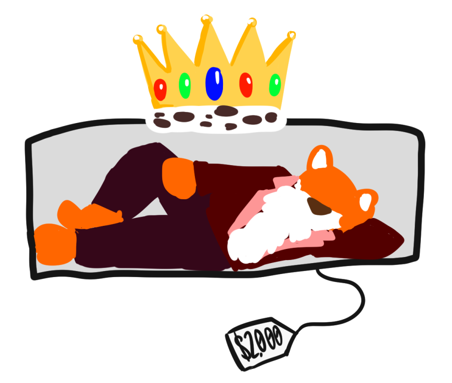 Leeroy+body+pillow+with+a+crown+and+price+tag