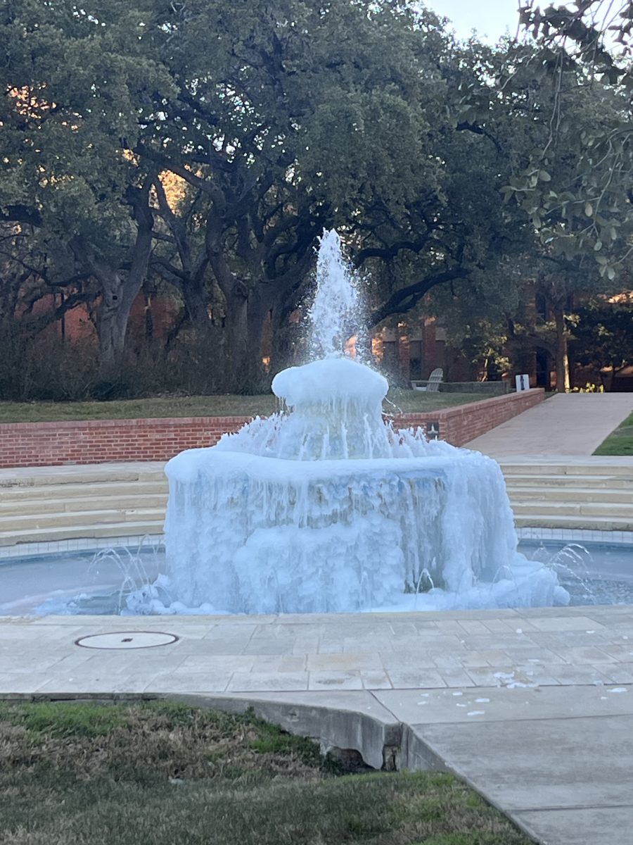 Fountain freezes over in 17 degree weather