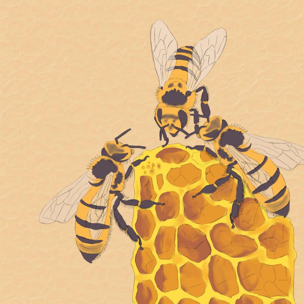 They really mean no harm: The buzz about Bee Club