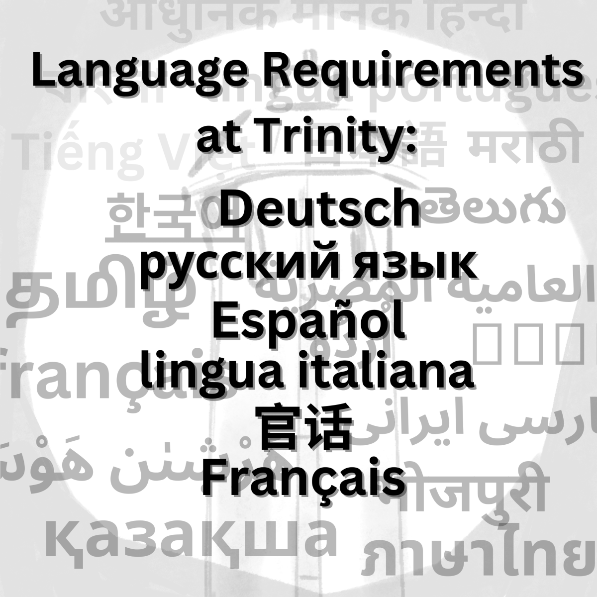 Multilingual students confused over language requirement