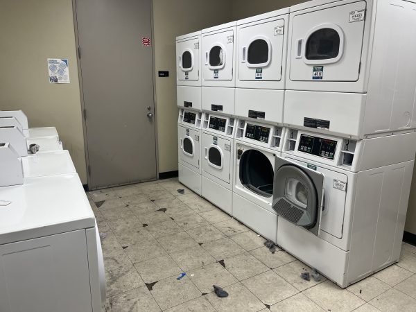 Prassel Laundry Room