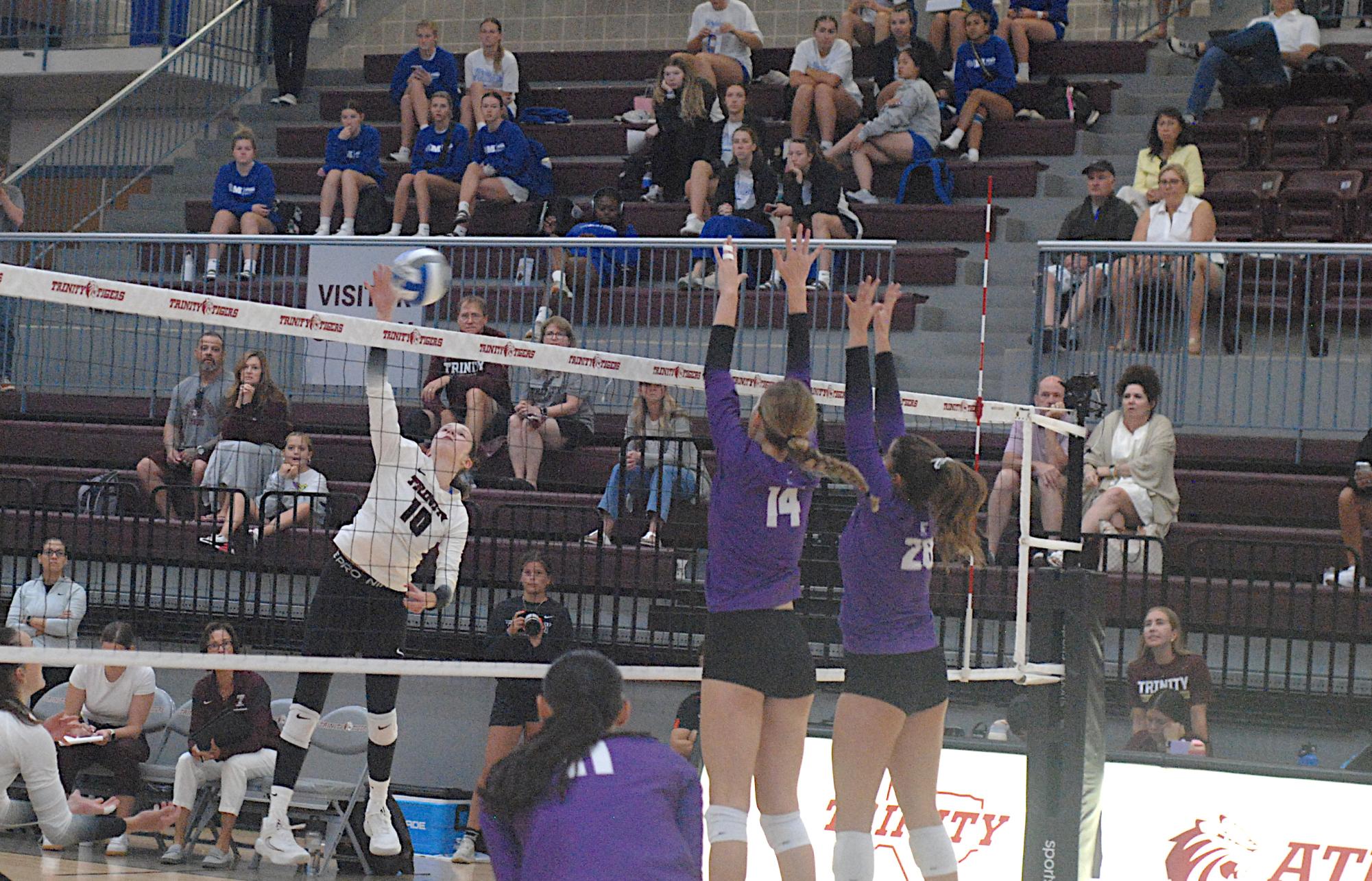 Outside hitter, first-year Lily Long, spikes the ball versus NYU on Aug. 30.
