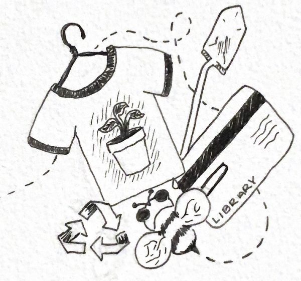 Trinity’s part in sustainability